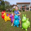 Gymnic Rody Bounce Horse Red view 4
