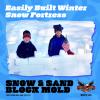 Flexible Flyer Snow Fort Building Block, Sand Castle Mold, Beach Toy Brick Form, 1 Mold (605) view 3