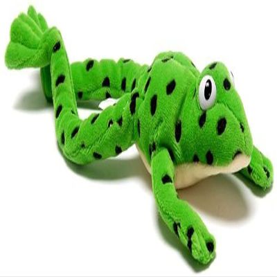 OUP Oxford Read Write Inc.: Fred The Frog - Toy (Read Write INC Phonics)
