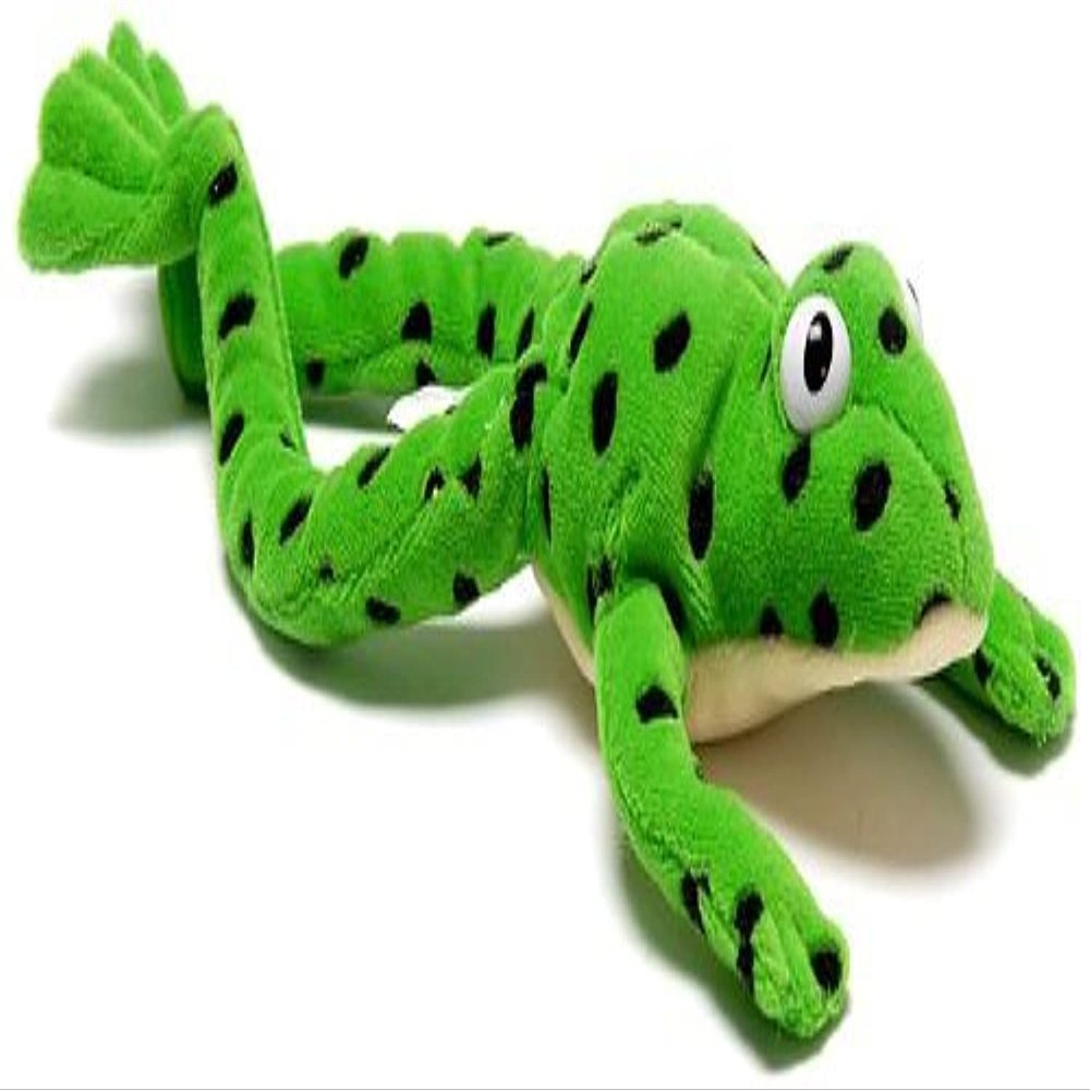 OUP Oxford Read Write Inc.: Fred The Frog - Toy (Read Write INC Phonics)