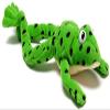 OUP Oxford Read Write Inc.: Fred The Frog - Toy (Read Write INC Phonics) view 1