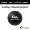 Champion Sports Rhino Skin Dodgeball , Black, 6 Inch view 4
