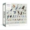 Sibley Backyard Birding Puzzle: 1000-Piece Jigsaw Puzzle with Portraits of Favorite North American Birds : Jigsaw Puzzles for Adults view 1