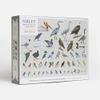 Sibley Backyard Birding Puzzle: 1000-Piece Jigsaw Puzzle with Portraits of Favorite North American Birds : Jigsaw Puzzles for Adults view 2