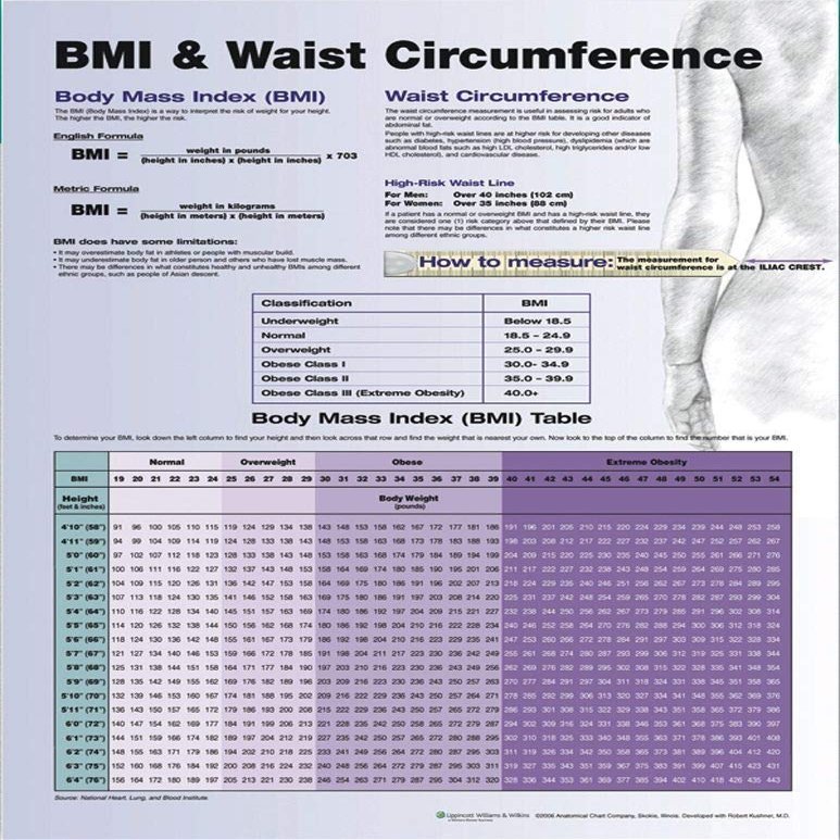 BMI and Waist Circumference
