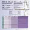 BMI and Waist Circumference view 1