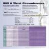 BMI and Waist Circumference view 2