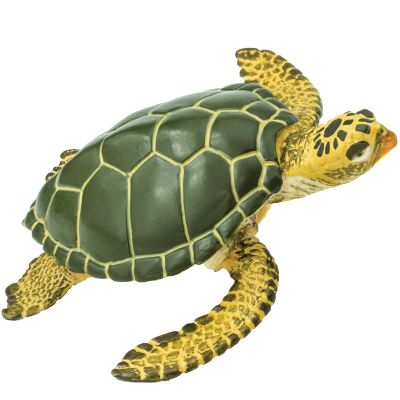 Safari Ltd. Green Sea Turtle Figurine - Detailed 3.58" Plastic Model Figure - Fun Educational Play Toy for Boys, Girls & Kids Ages 3+