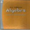 FLY Through8482; Algebra view 1