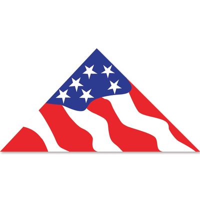 11ft. Patriotic Delta Kite