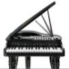 Winfun Symphonic Grand Piano Set for Kids 3+ Years 37 Keys 15 Demo Songs 8 Instruments & Rhythms Record & Playback Detachable Microphone Concert Stool Educational Music Toy view 3
