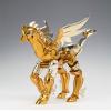 Bandai Saint Seiya Myth Cloth Sea Horse General Baian view 2