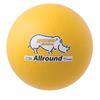 Champion Sports All Around Rhino Skin Ball Set view 2