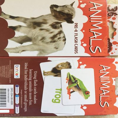 Bendon Animal Flash Cards