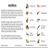 Amphibians Matching Cards view 4