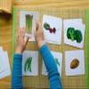 Vegetables Matching Cards view 2