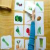 Vegetables Matching Cards view 4