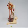 Little Busters - Komari Kamikita 1/8 PVC Figure By Kotobukiya view 3