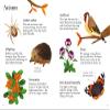 Usborne GB Health Management Garden Life to Spot + Stickers Book, 1 EA view 3