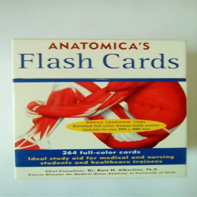 Anatomicas Flash Cards