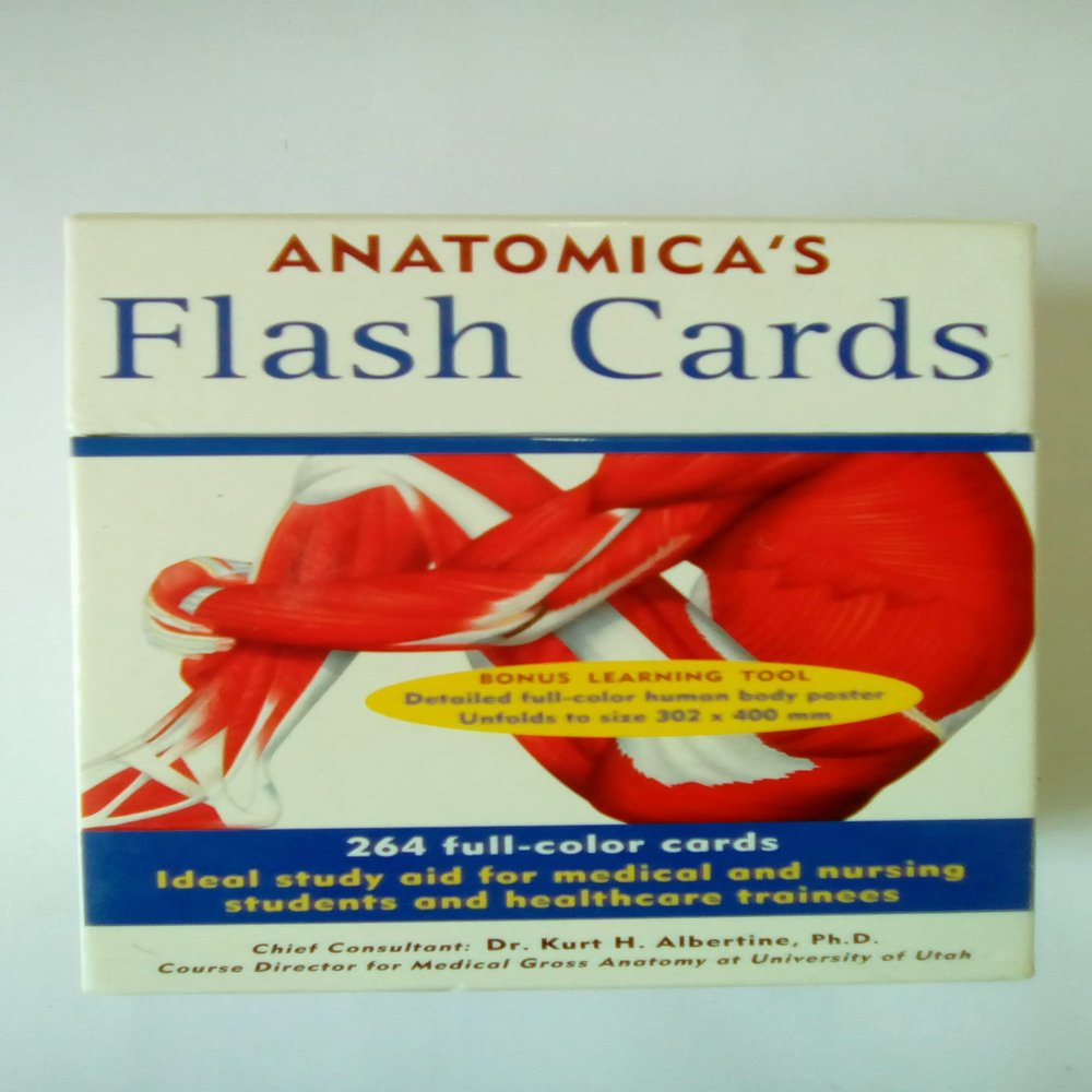 Anatomicas Flash Cards