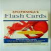 Anatomicas Flash Cards view 1