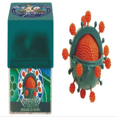 EIN-O Science BioSigns Virus