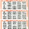 Sideline Hobby 3 Vertical Orange Bingo Paper Sheets (500 Sheets) view 1