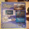 3 Pack of DVD Game Shows - Match Game, Newlywed Game, Password view 4