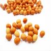1:12 Dollhouse Miniature Food Lot 10 Fresh Easter Eggs Supply Jewelry 10048 view 4