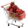 Shindel Mini Shopping Cart for Kids, Grocery Store Pretend Play for Toddler Supermarket Handcart Trolley Dollhouse Toys for Kids view 1
