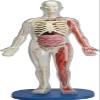 SMARTLAB Toys Squishy Human Body with 21 Removable Body Parts with Anatomy Book view 1