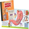 SMARTLAB Toys Squishy Human Body with 21 Removable Body Parts with Anatomy Book view 4