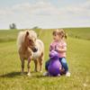 Gymnic Rody Bounce Horse Purple view 4