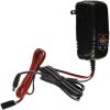 Spektrum 150mA Dual Output Charger view 1
