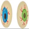 Glow in the Dark Halloween EYE Ball Bouncy Balls 32 Mm Size Eyeballs - 12ct view 1