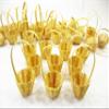 10 Bamboo Wicker Holder Basket Fruit Vegetable Picnic Dollhouse Miniature Supply 12745 view 1