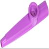 Trophy 1st Note Kazoo view 1