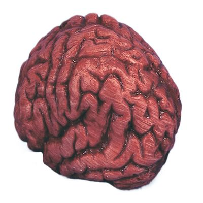 Loftus Bloody Organ Brain Halloween 6" Decoration Prop, Red White