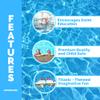 SWIMLINE Titanic Themed Dive Toy Sinking Ship Hidden Treasure Combo Pack Catch And Retrieval Cruise Ship Game For Swimming Pool & Bath Tub For Kids Multi Color Rings Underwater Dive Practice Education view 3