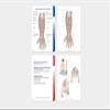 Trail Guide to The Body Flashcards, Vol. 1 view 3