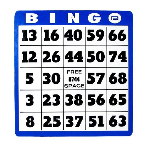 Large Print Bingo Card