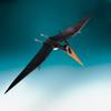 Aue Verlag Schreiber-Bogen Cardboard Model Pterosaur Pteranodon ingens view 2