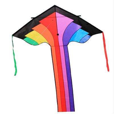 11110 48" Rainbow Flier