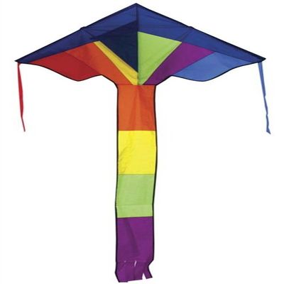 11101 33" Rainbow Flier