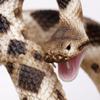 Safari Ltd. Eastern Diamondback Rattlesnake Figurine - Realistic 40" Model Figure - Educational Toy for Boys, Girls, and Kids Ages 18M+ view 4