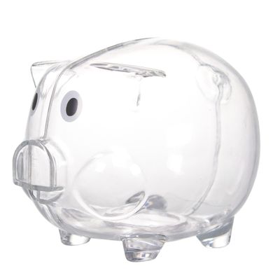 Windy City Novelties Mini Educational Kids Clear Plastic Piggy Bank