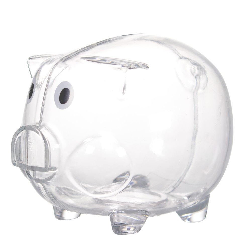 Windy City Novelties Mini Educational Kids Clear Plastic Piggy Bank