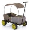 hauck Eco Wagon with Multipurpose Hand Pulled Utility, Steel Tube Framing, and Easy Fold Feature for Kids Pull Along Wagons, Forest Green view 1