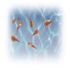Smithsonian Smithsonian Micro Prehistoric Sea Monsters view 2
